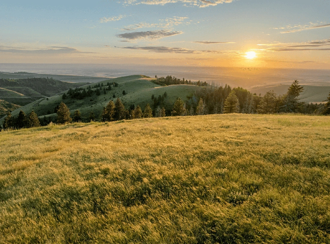 Весняні Карпати з зеленими пагорбами та заходом сонця, фото fomich.ua