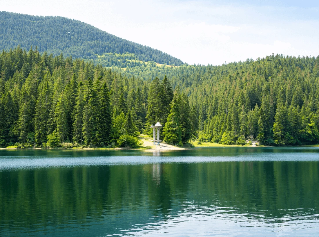Гірське озеро в Карпатах серед хвойного лісу з віддзеркаленням у воді, фото fomich.ua