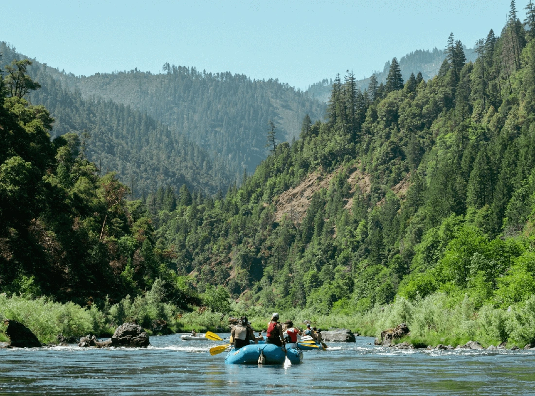 Рафтинг у Карпатах навесні гірською річкою серед зелених схилів, фото fomich.ua